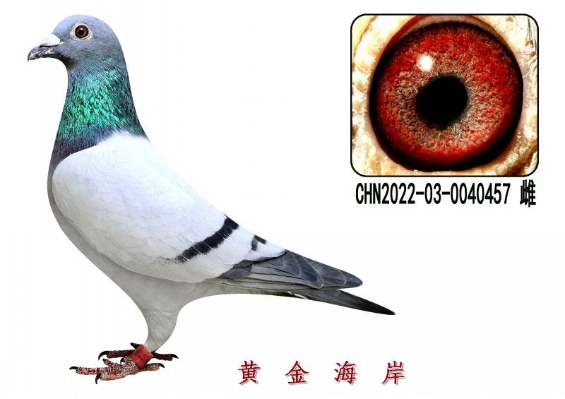 conew_chn2022-03-0040457 Ƹ