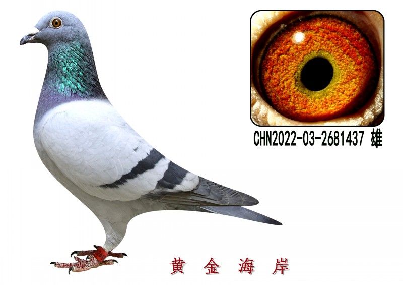 conew_chn2022-03-2681437 ۸