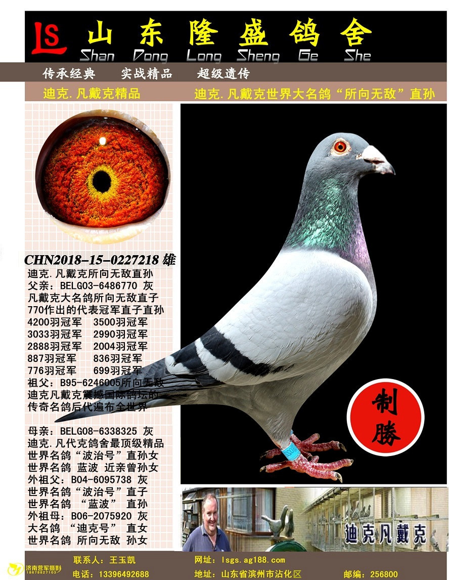 �����������޵�ֱ��