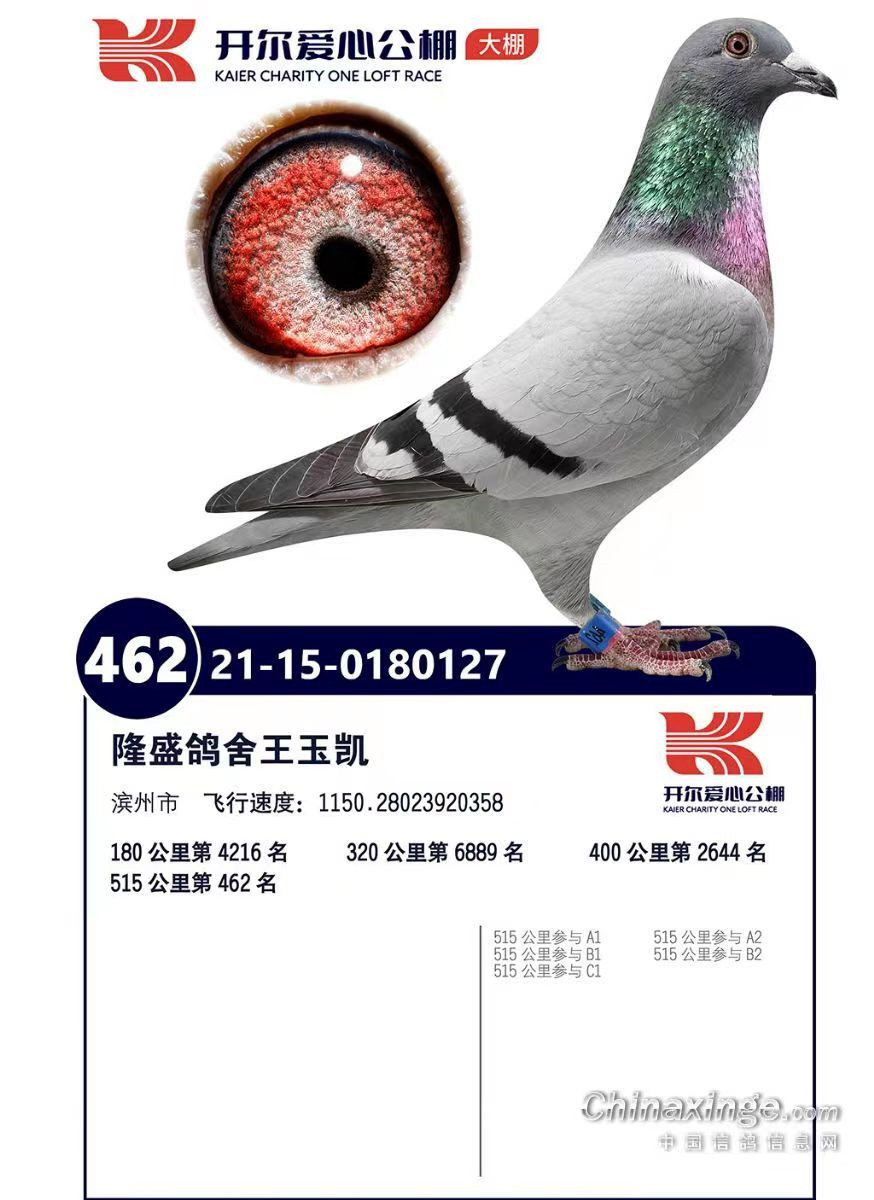 ��������������462��