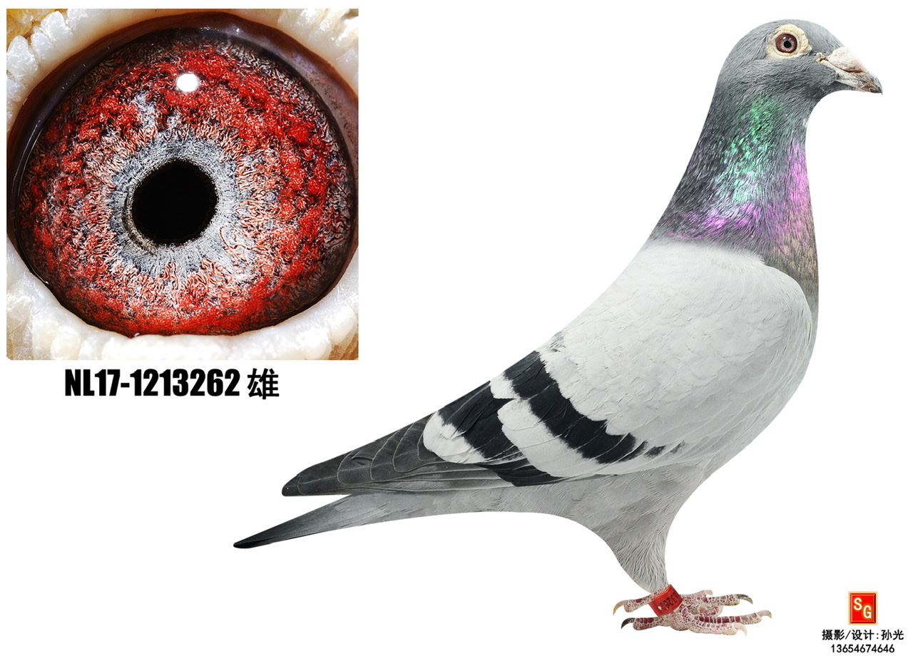262