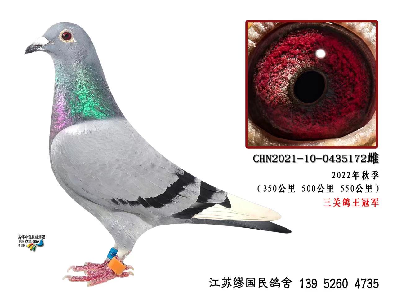 2022＾P(gun)