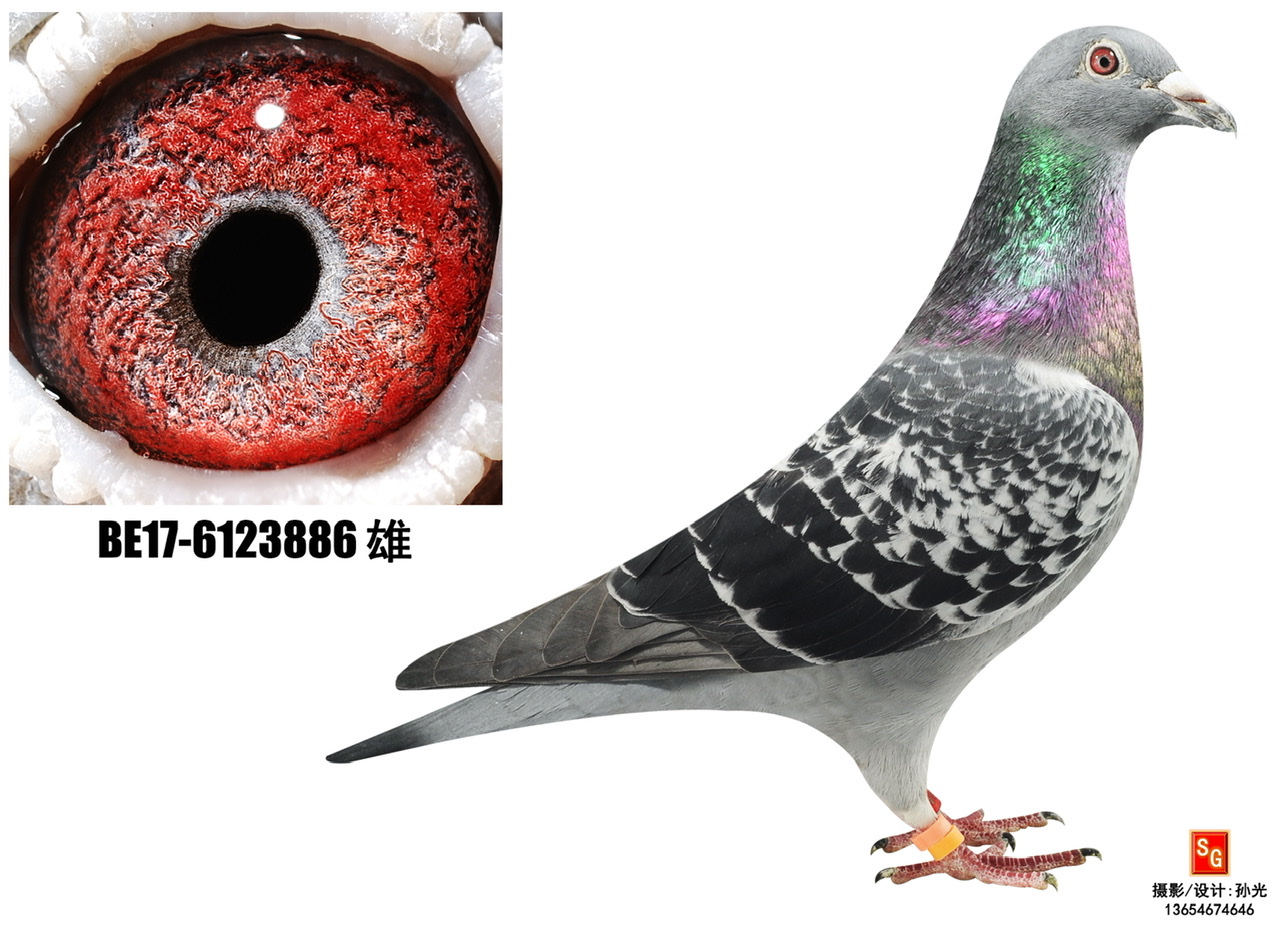 886