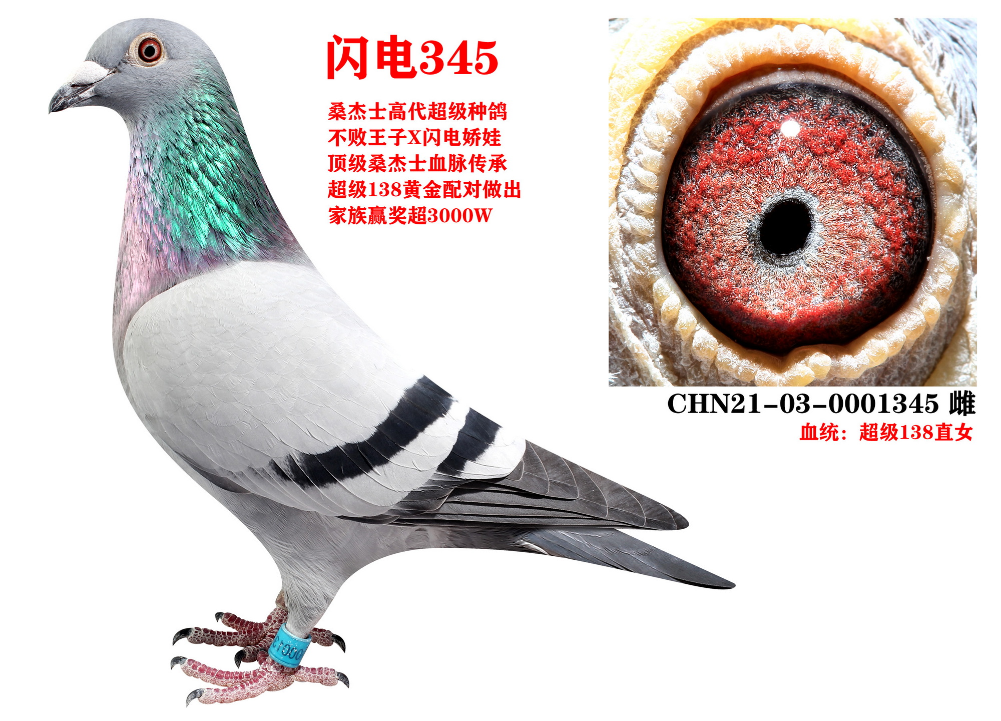 ɣʿ W345