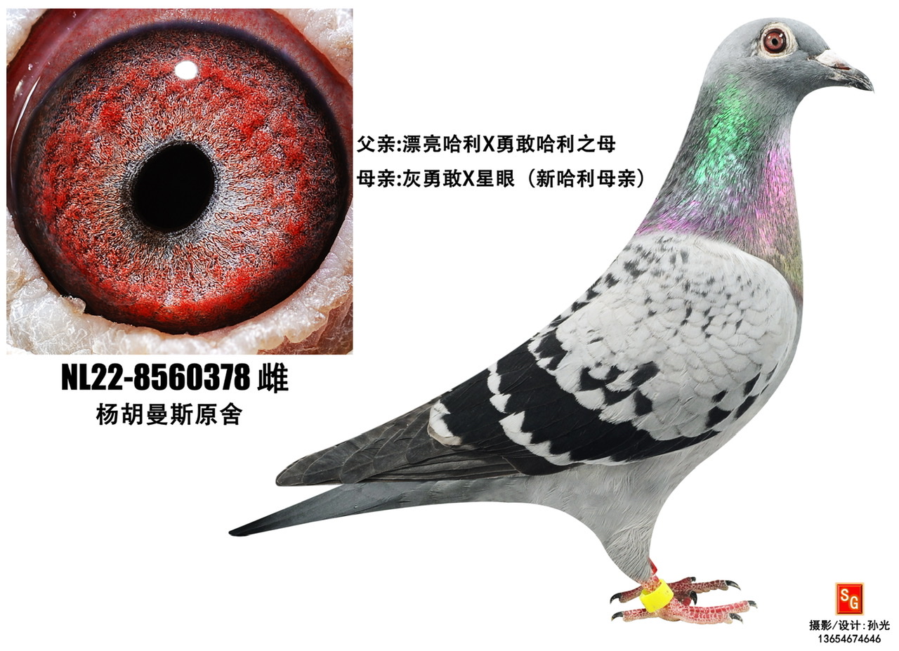 ¸378