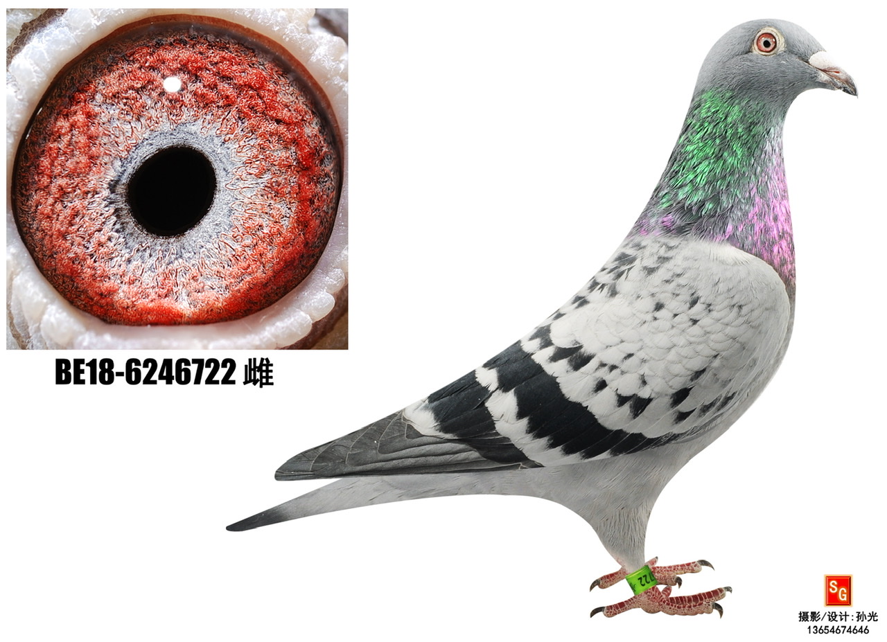 722