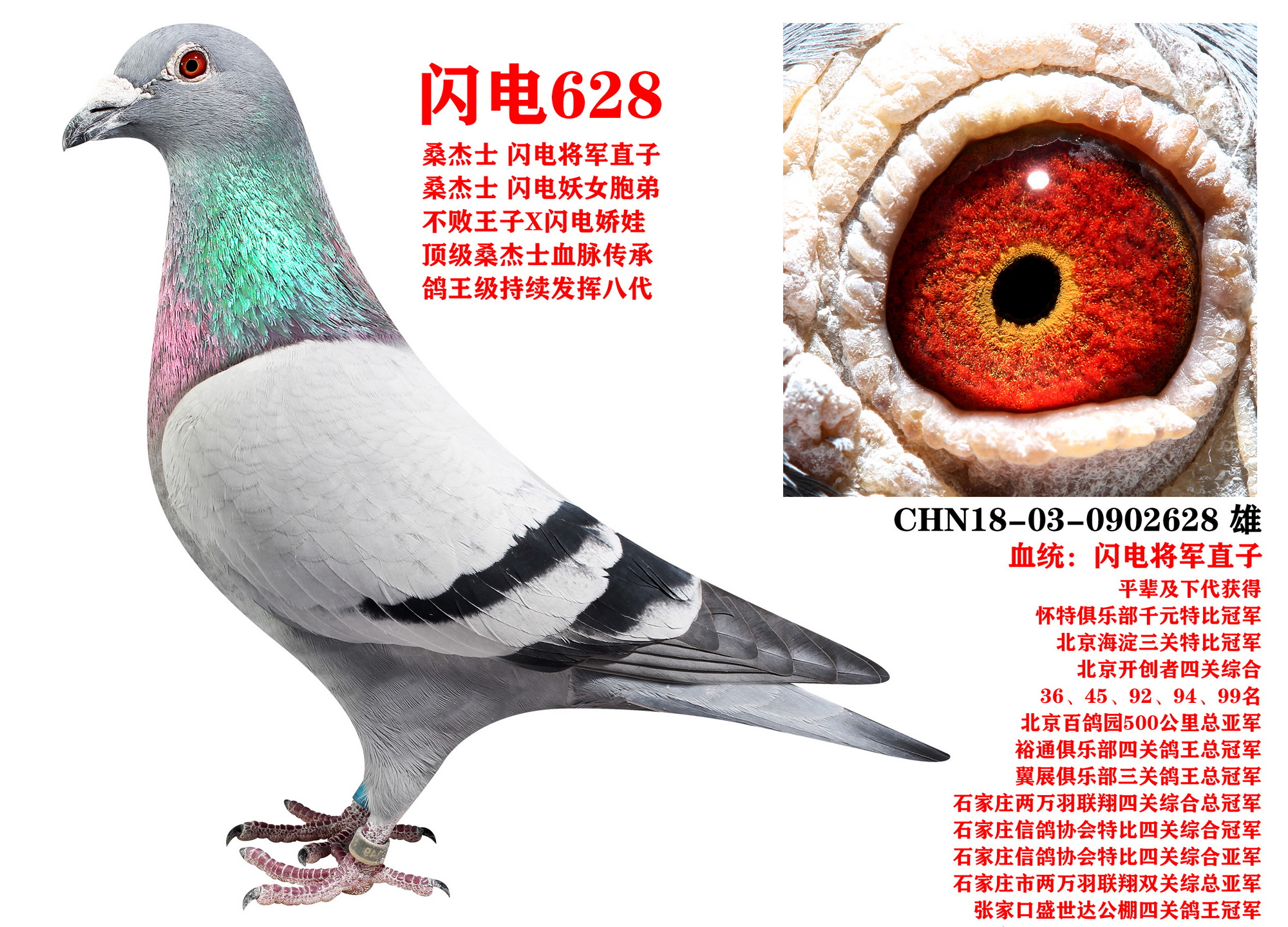ɣʿ W628