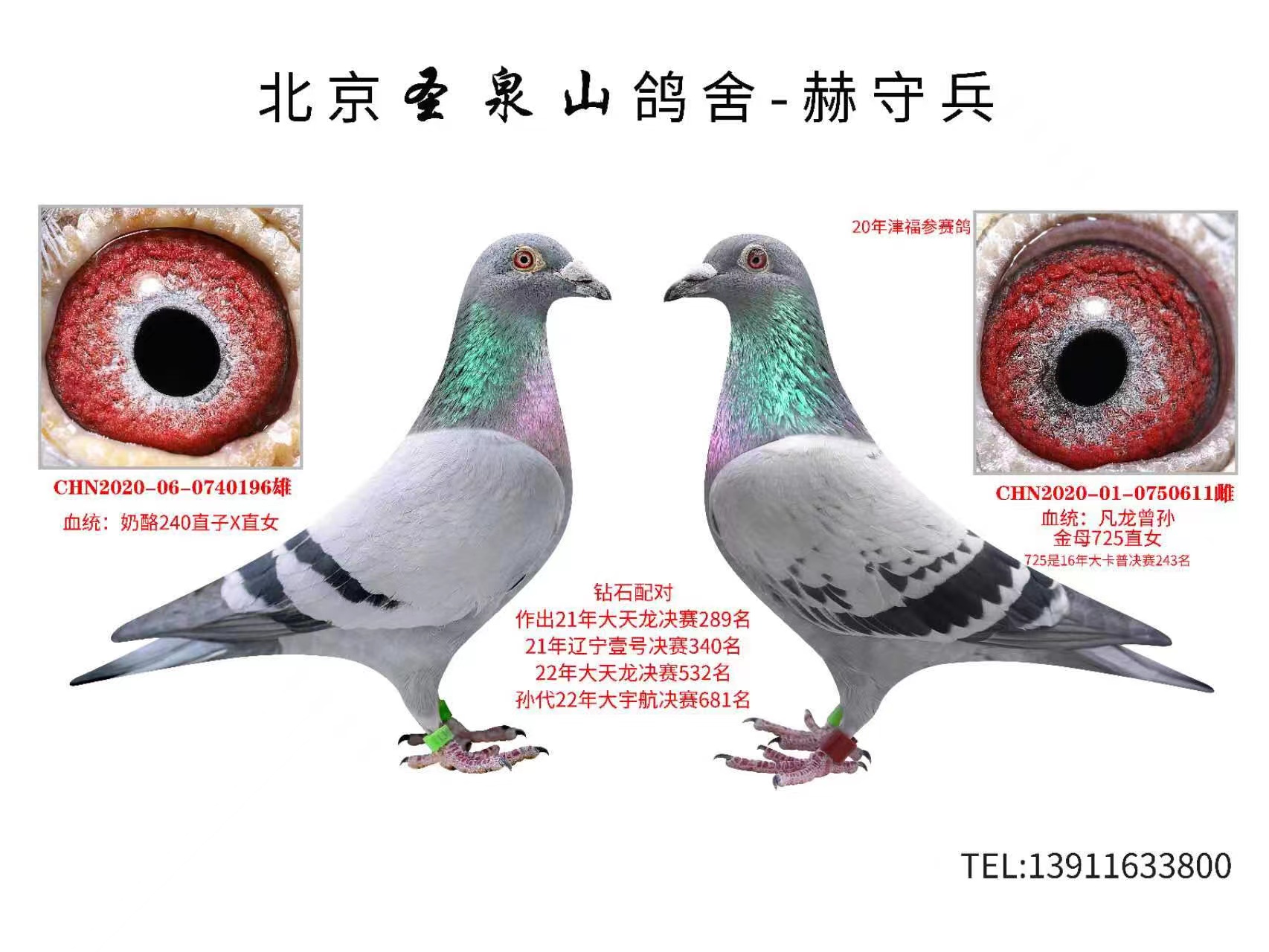 @ʯ䌦(du)