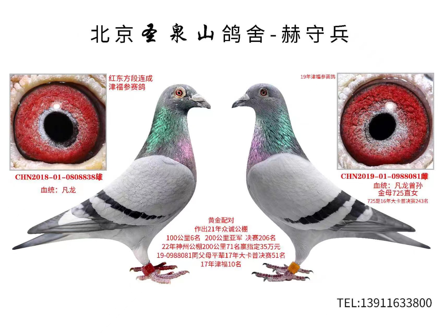 S䌦