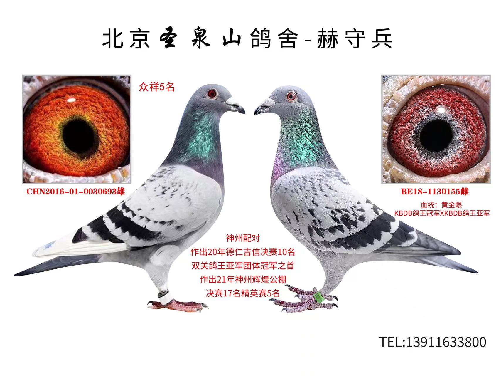 䌦