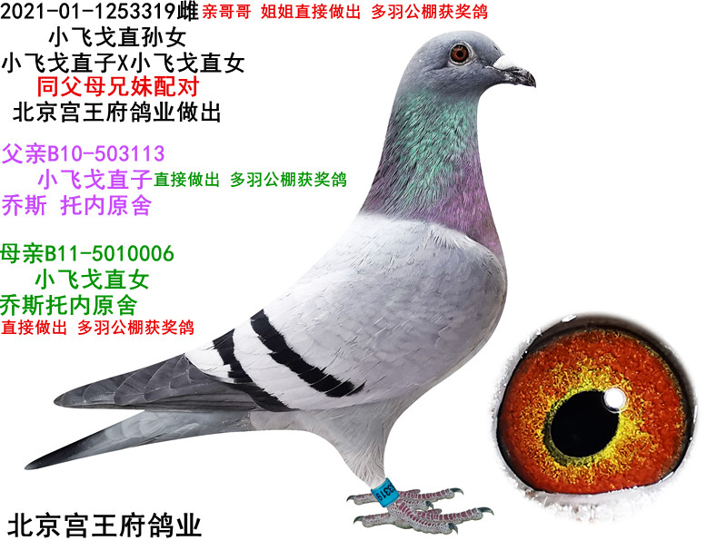 СwHֱOŮ