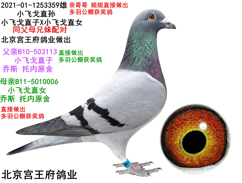 Сw HֱO