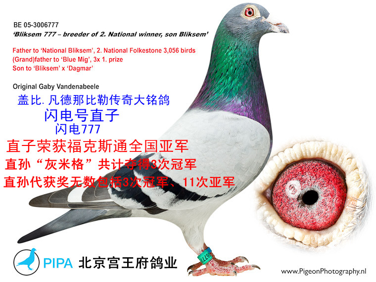 wWֱ̖ W777