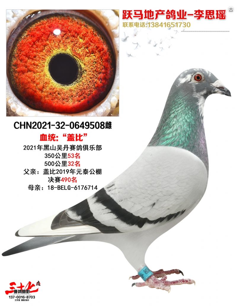 50032
