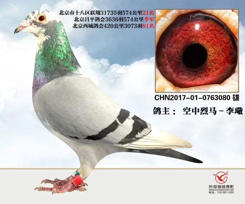 ʮ˅^(q)(lin)21