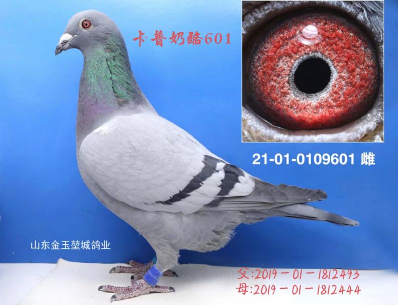 601