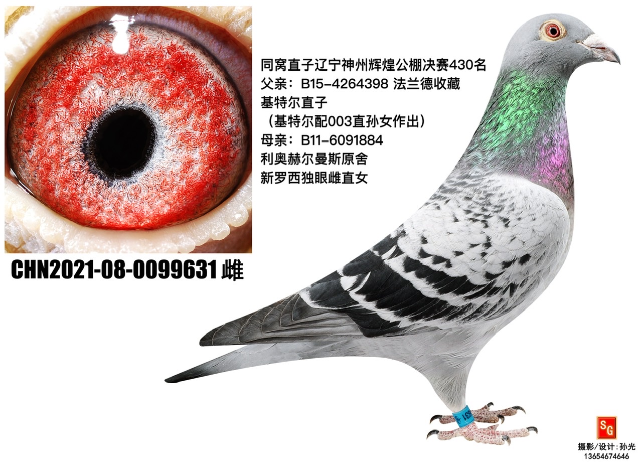ؠ631