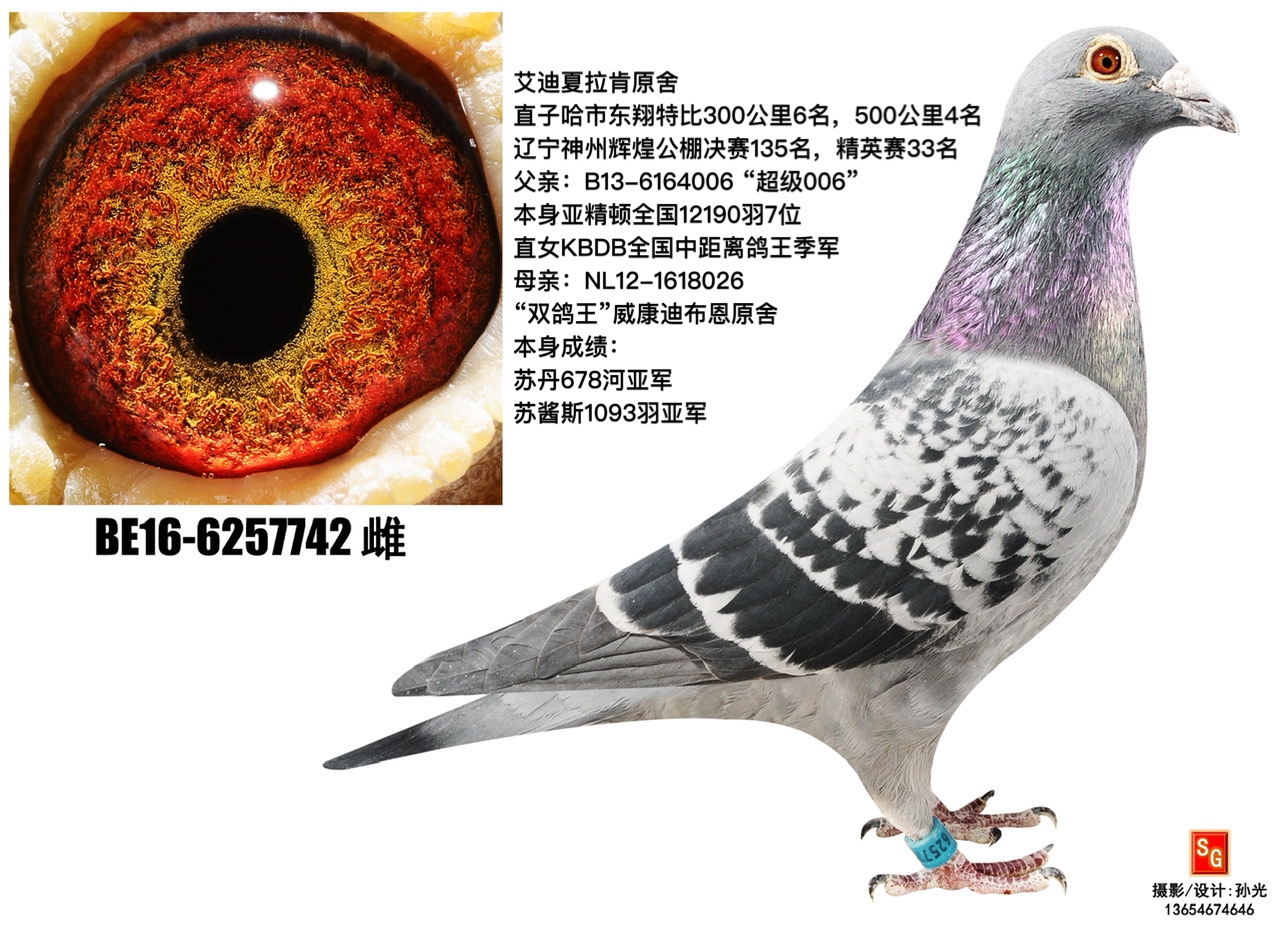 742