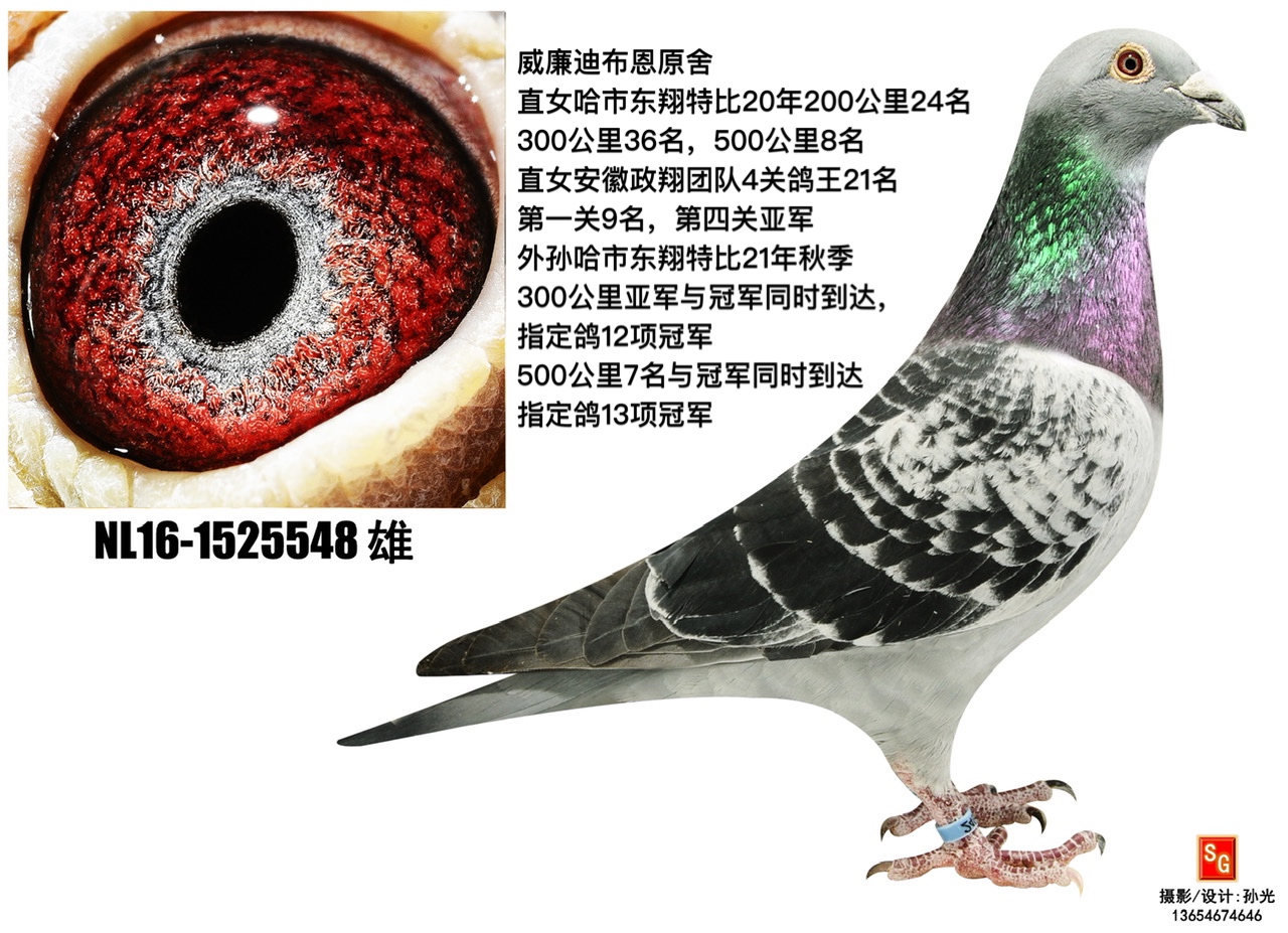 ϲ548