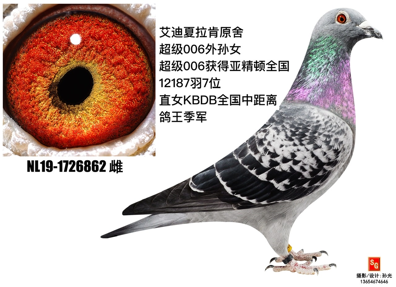 862