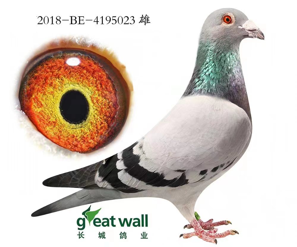 .ؐ