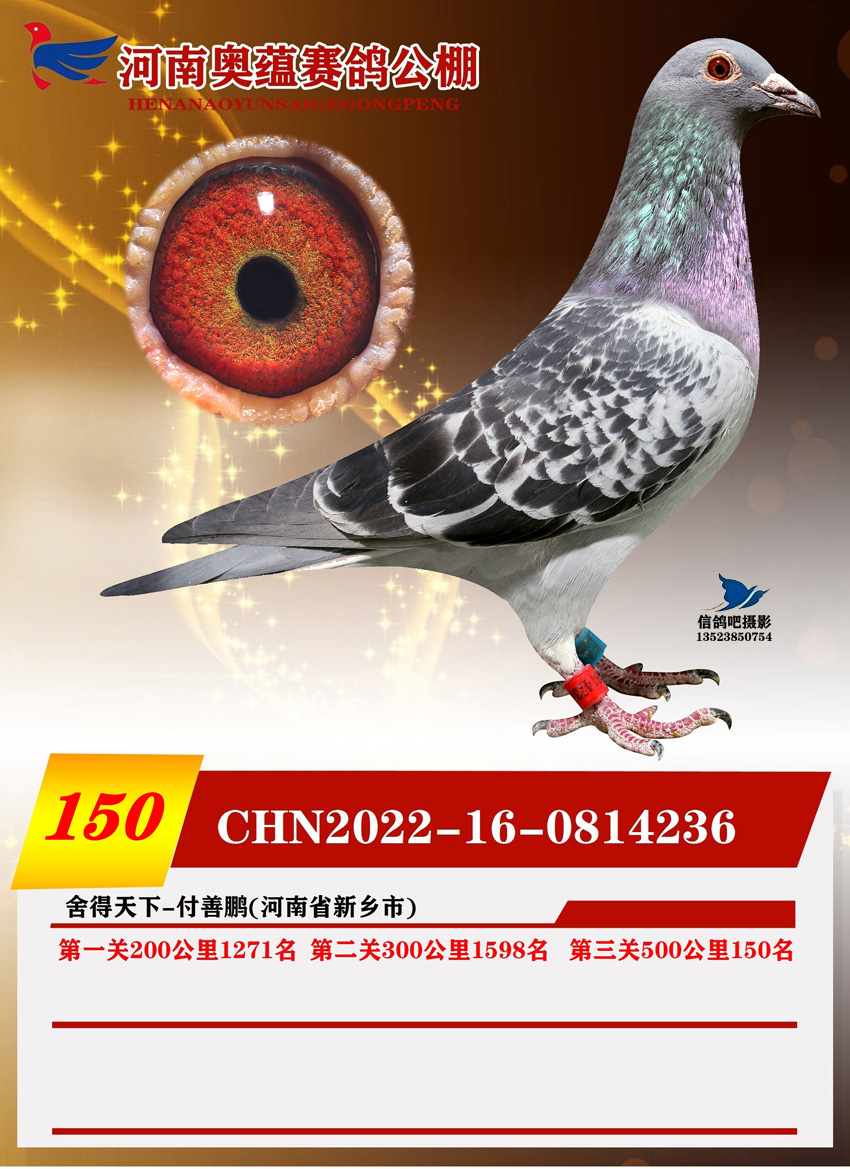 22SWNQِ150