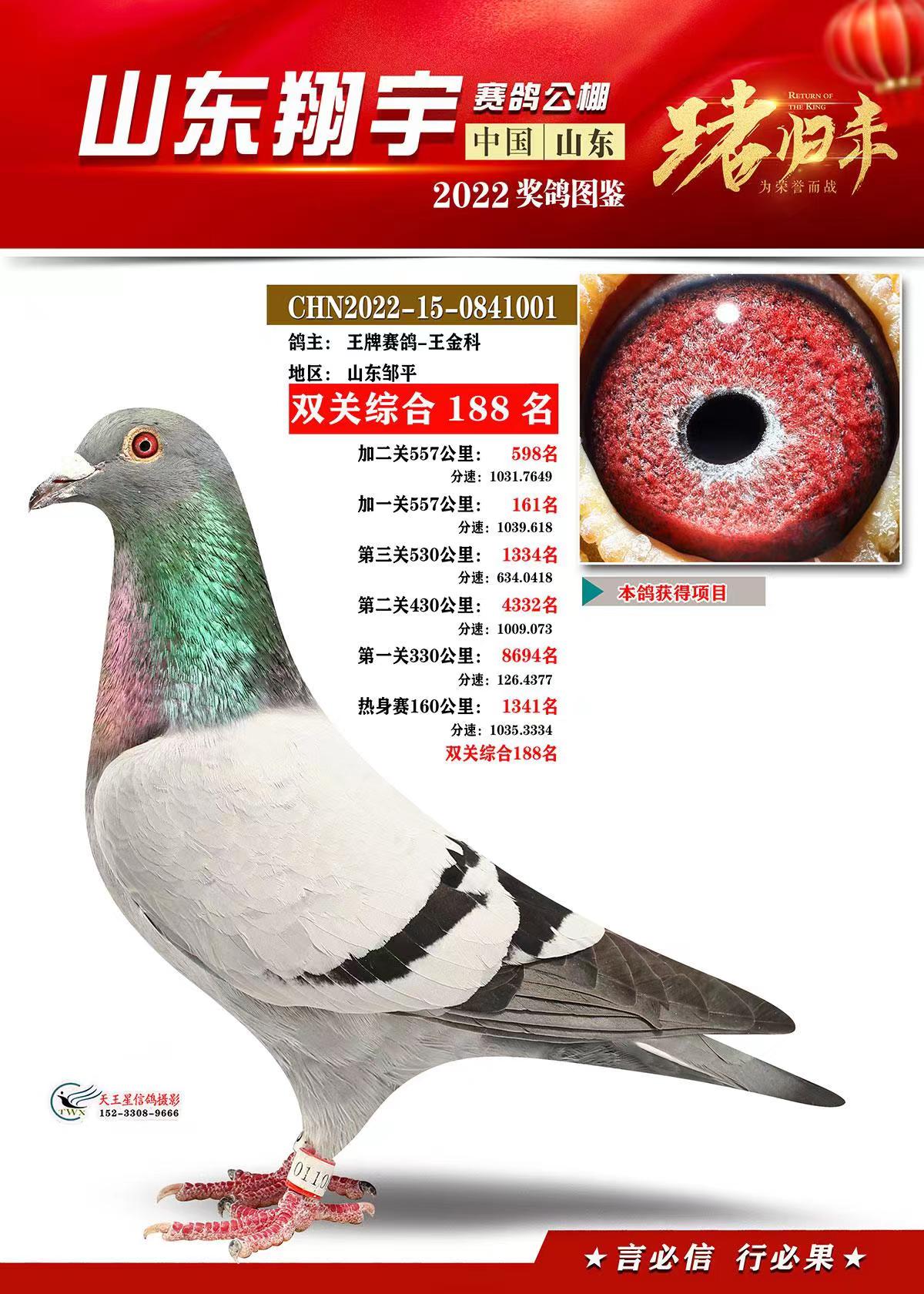 22«@(jing)