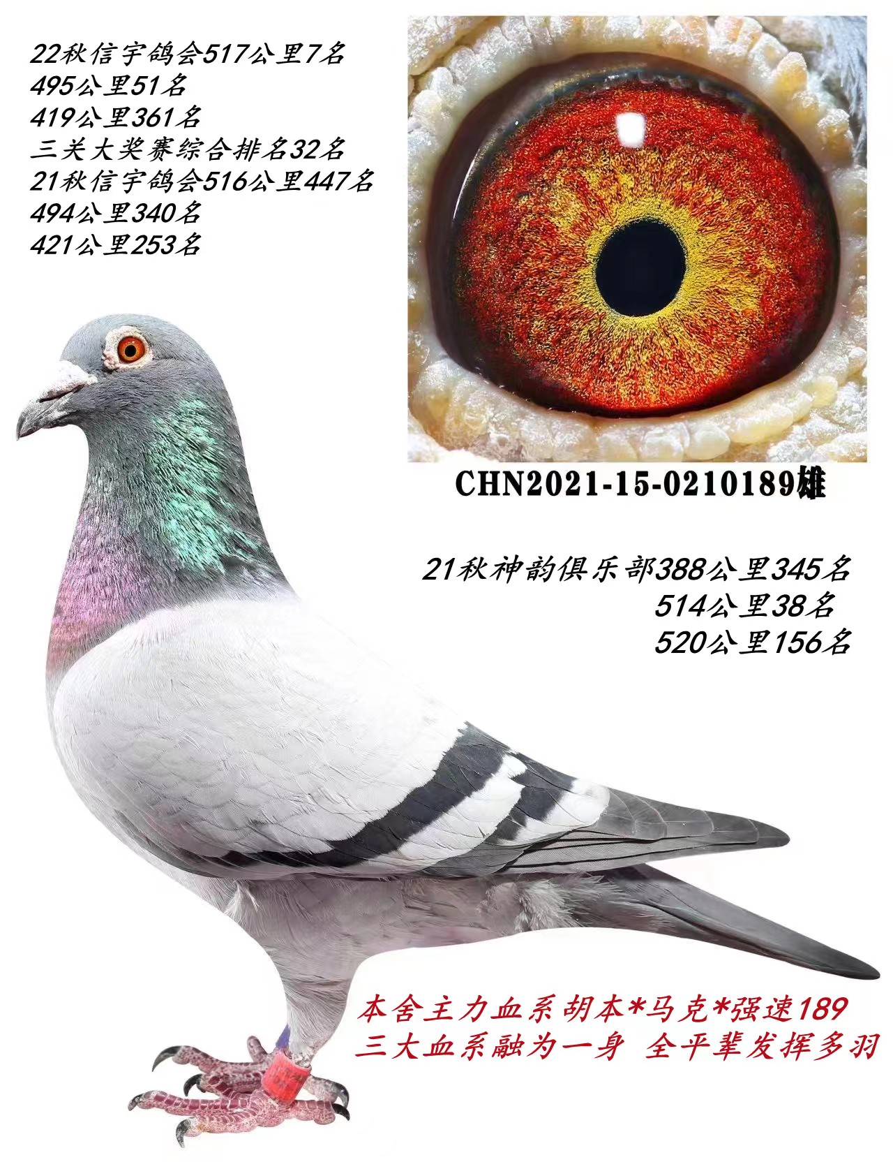 2023ϼ