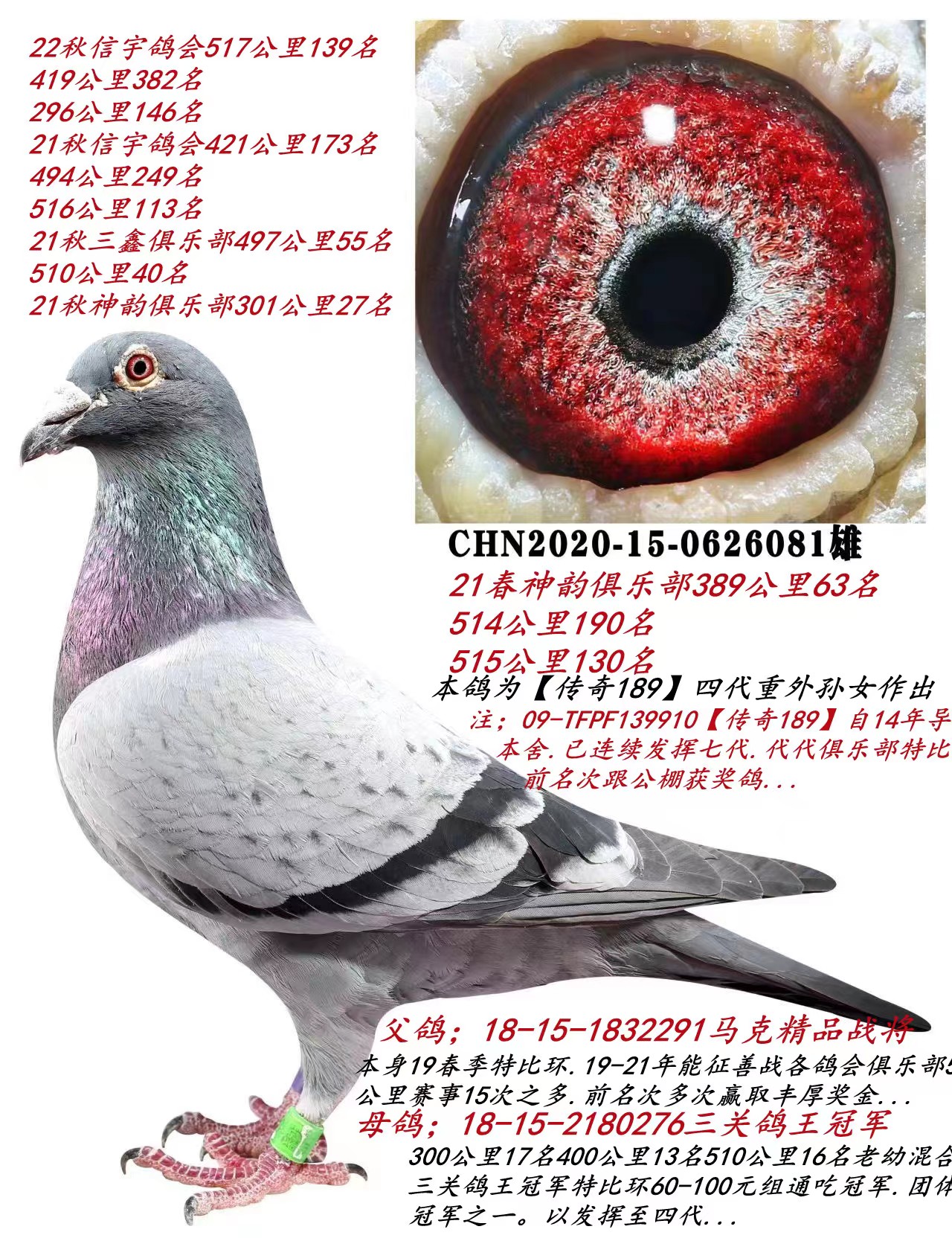 2023ϼ܌(zhn)Ѫϵ