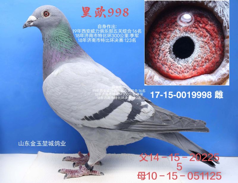 W998