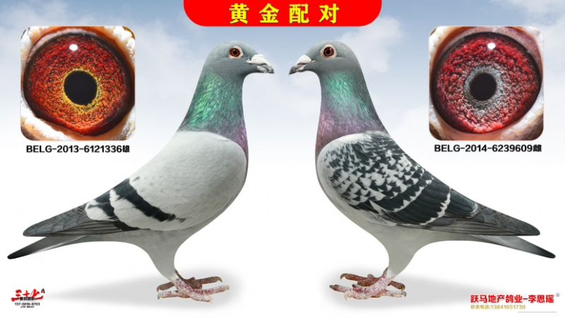 һS䌦