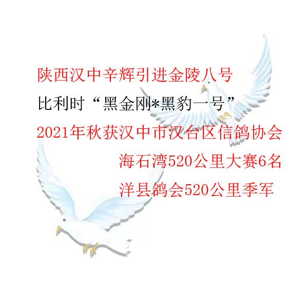 2022λ