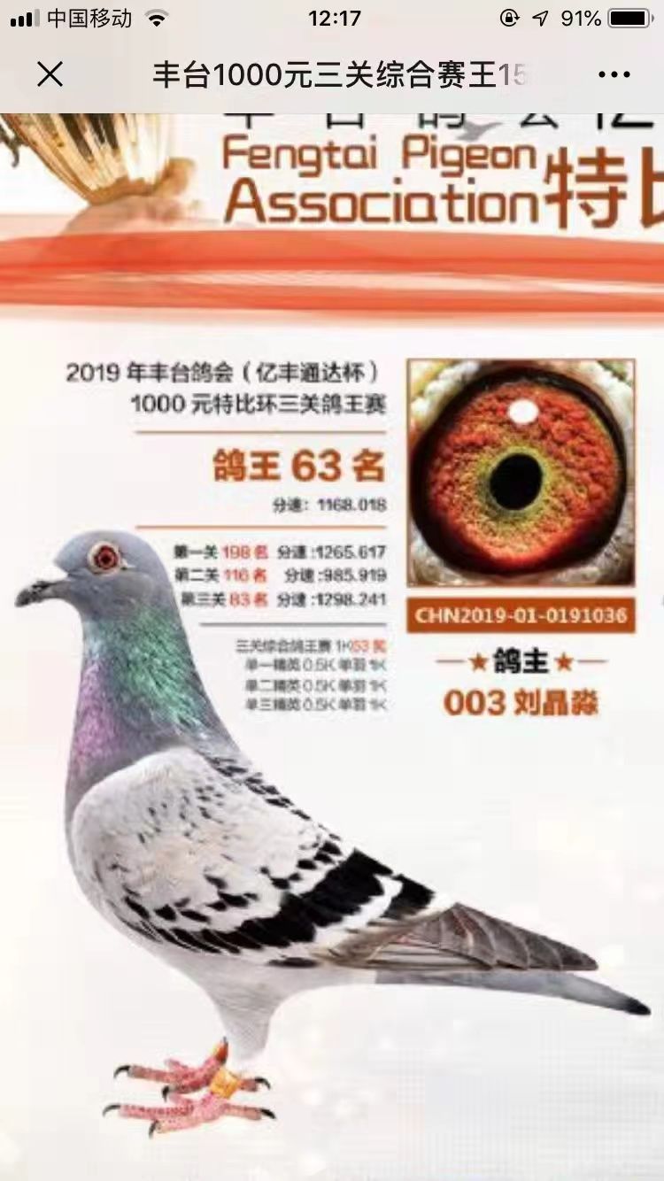 2019S_(ti)f(xi)63