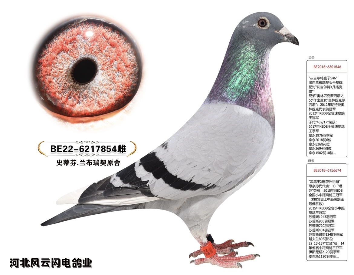 Ҹ854