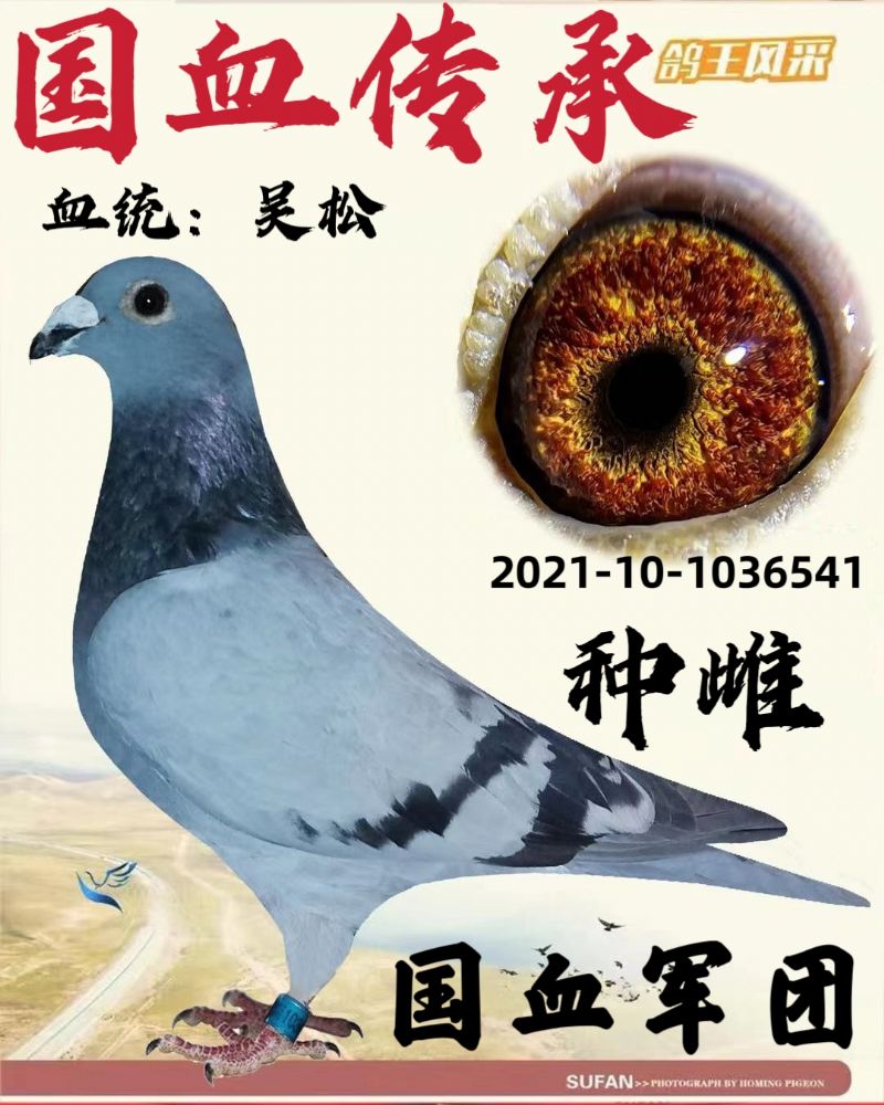 ɷN