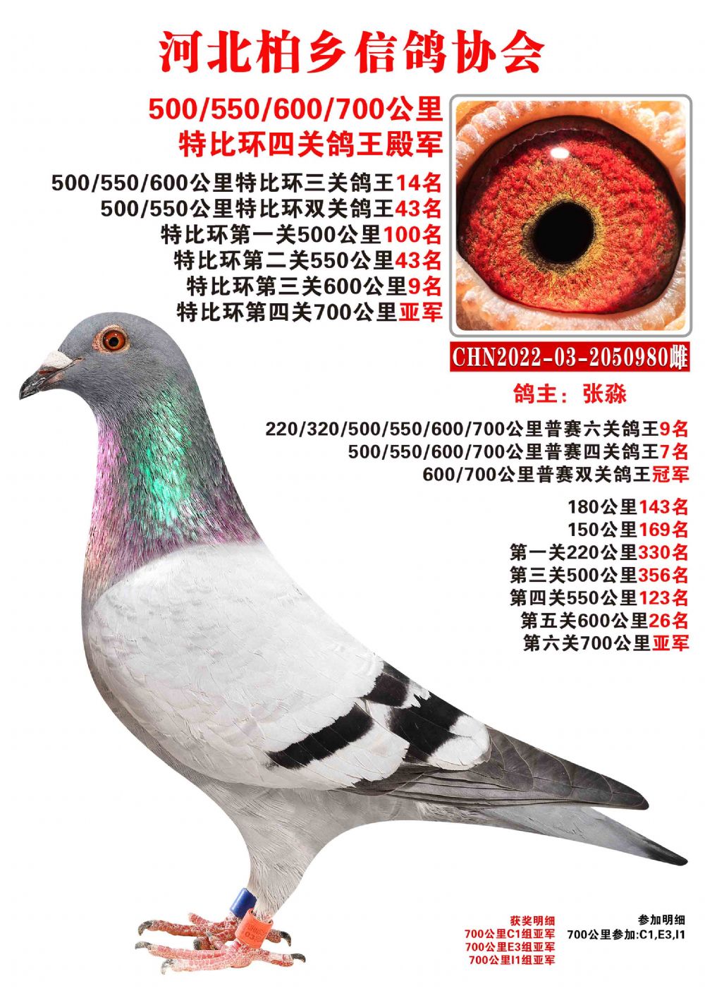 4980