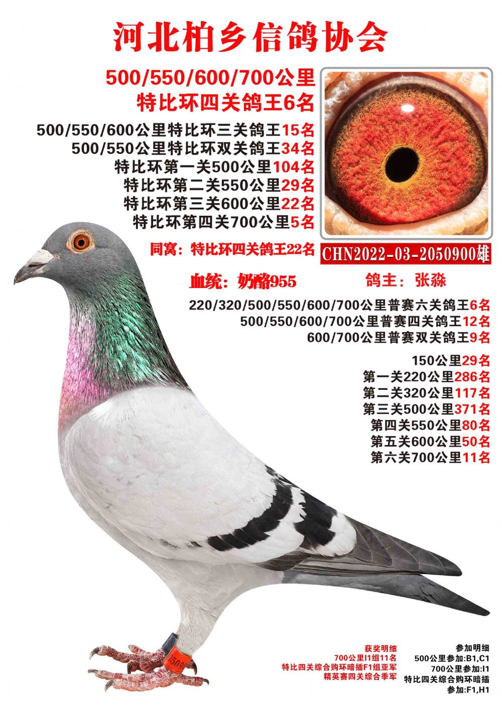 6900