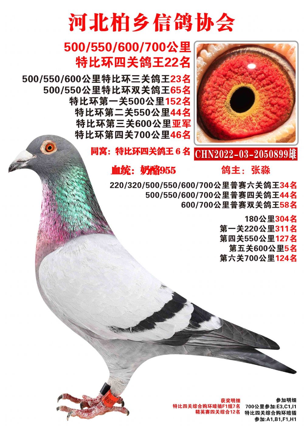 22899