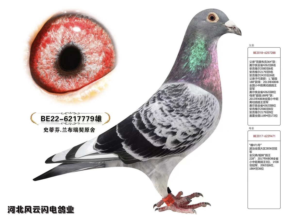 779