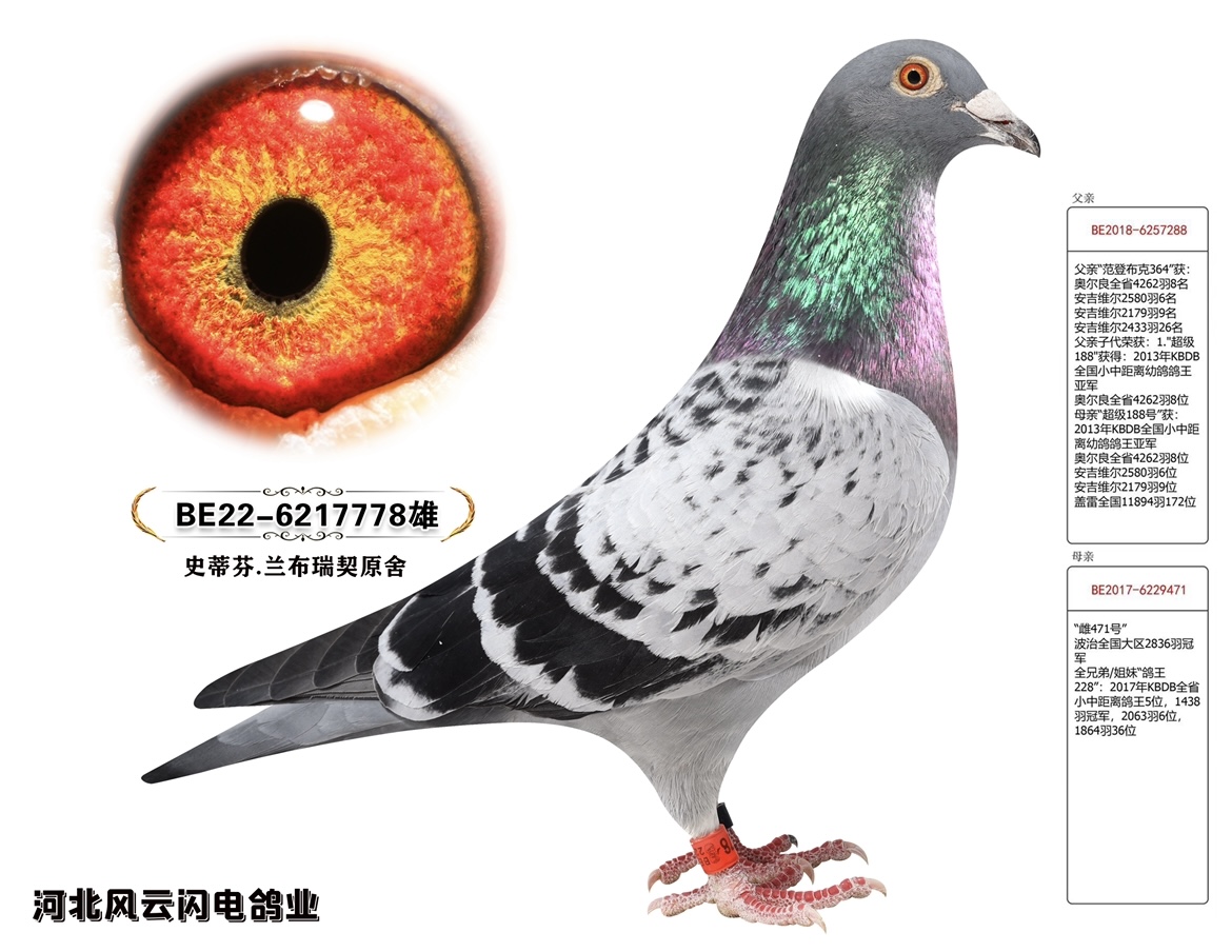 778