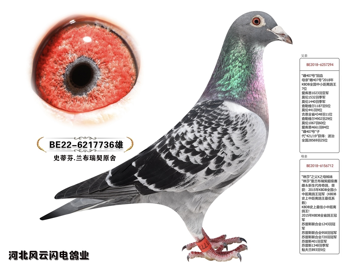 736