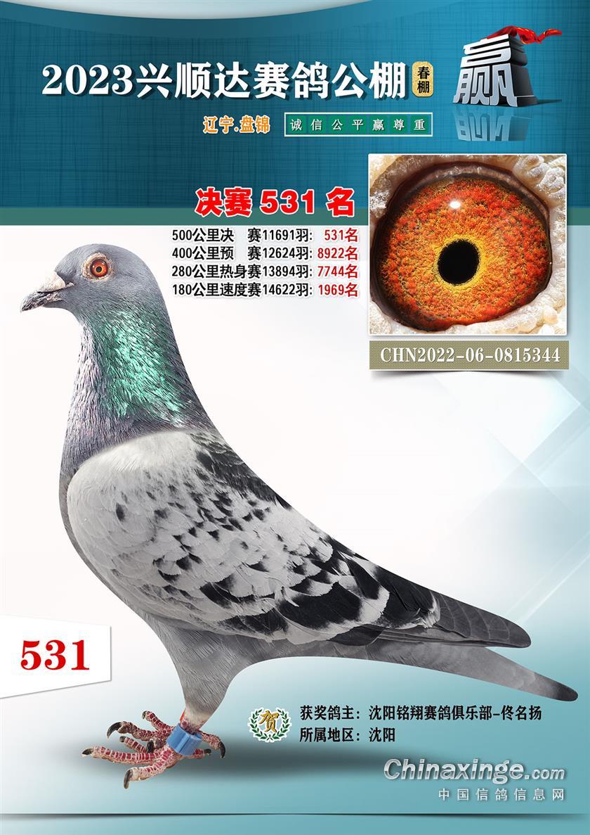 2023괺P\d_Qِ531