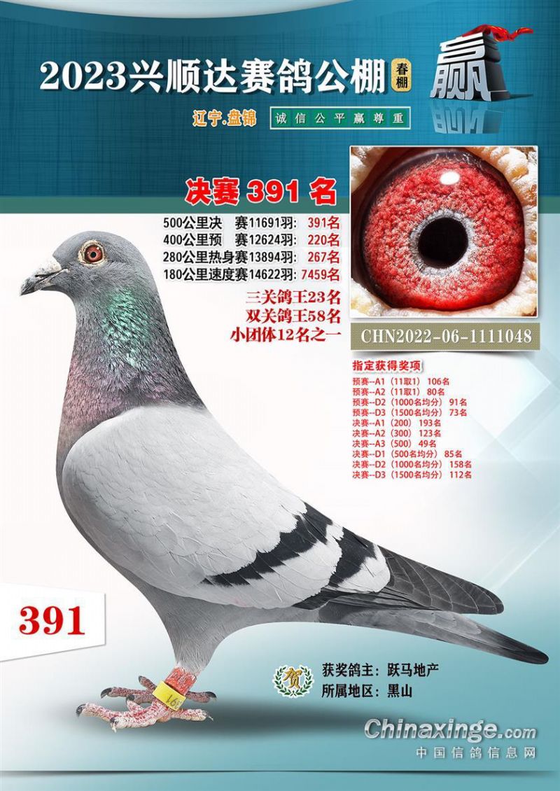 d_(d)Qِ391