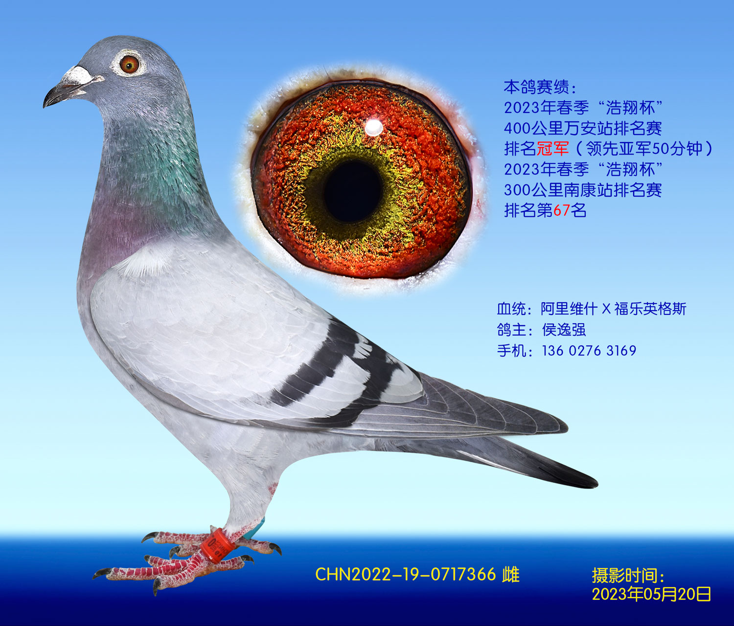 豭400վھ