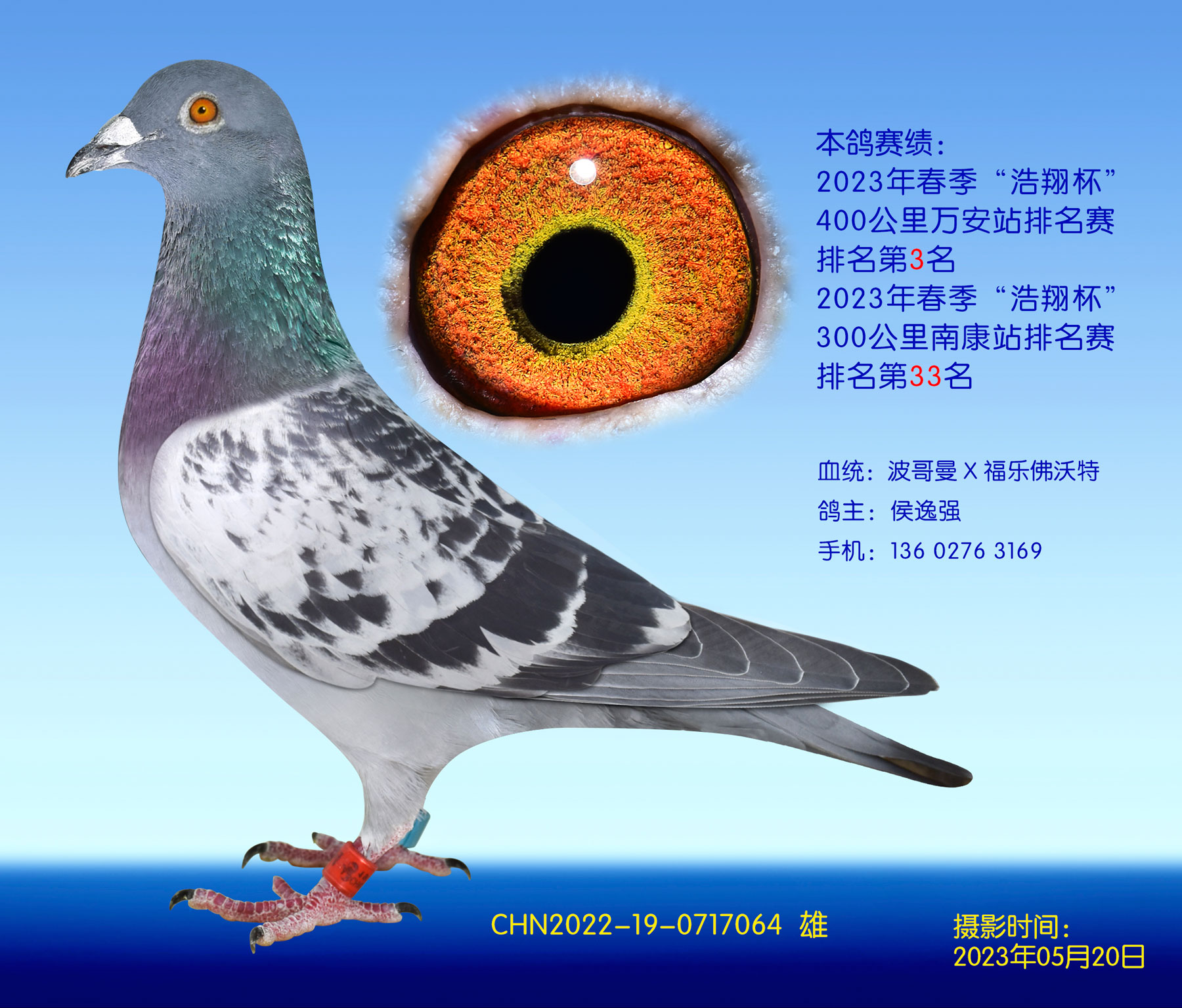 豭400վ3