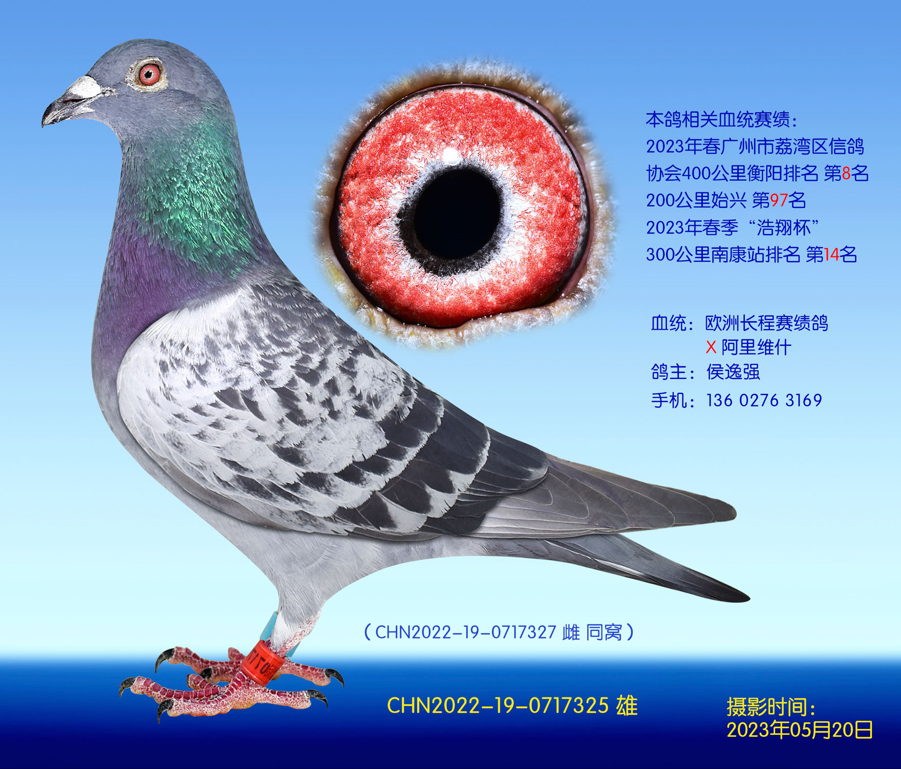 ŸЭ4008