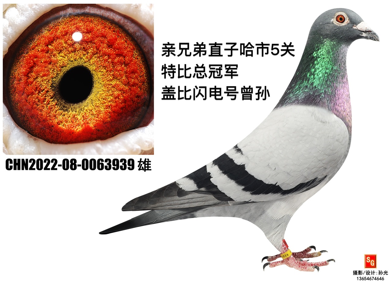 w939