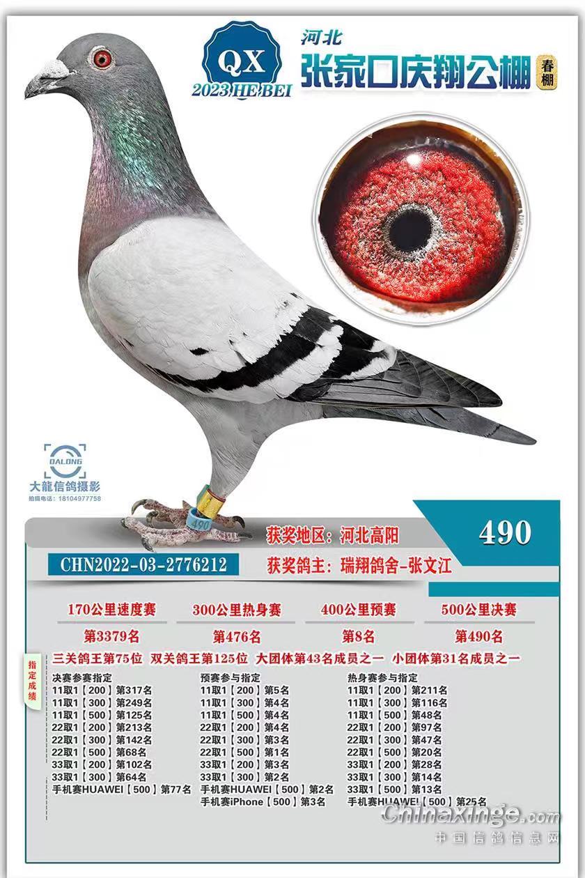 c蹫4008