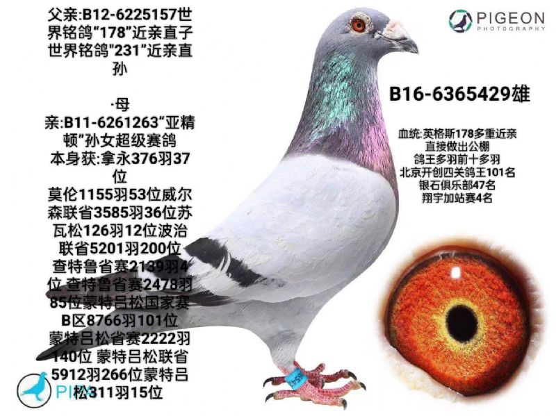Ӣ˹178N