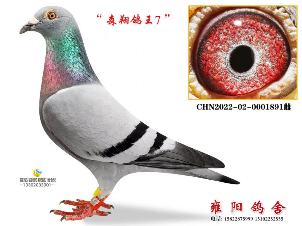 ɭ蹫7